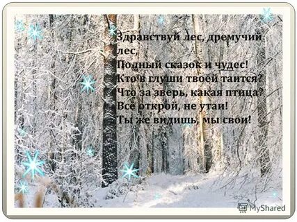 Дремучий лес это причастие