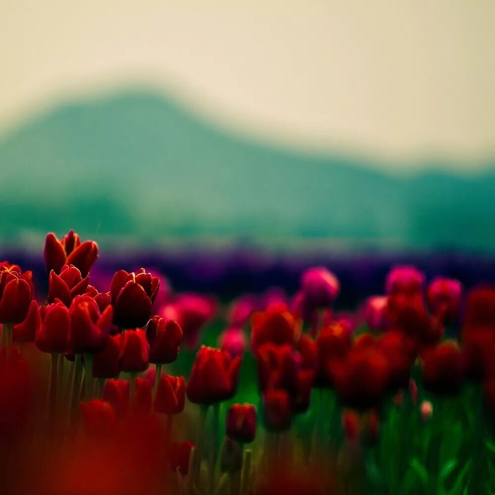 Самые приятные видео. Самые приятные видео. Красивое занятие любовью. Нежные позы. Удовольствие для мужчины.