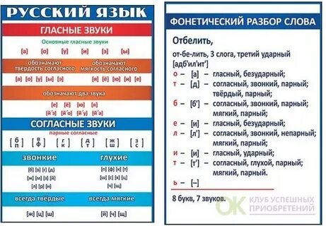 Сделайте фонетический разбор слова 5