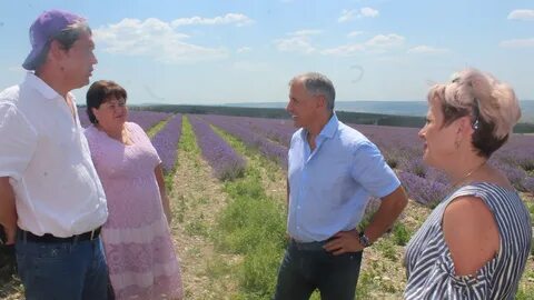 Погода бахчисарай долинное