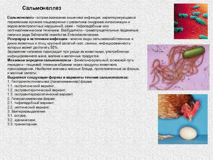 При сальмонеллезе передача инфекции возможна через ответ