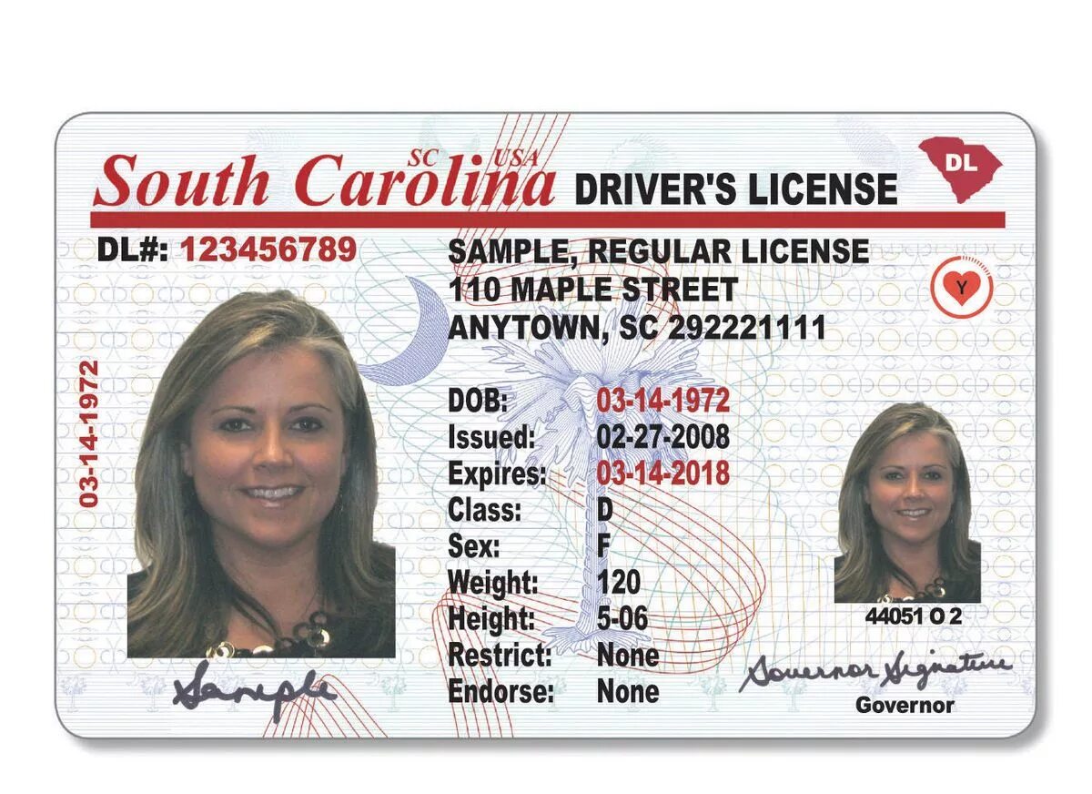 License value. Driver license. south carolina driver license. drivers license south carolina new.