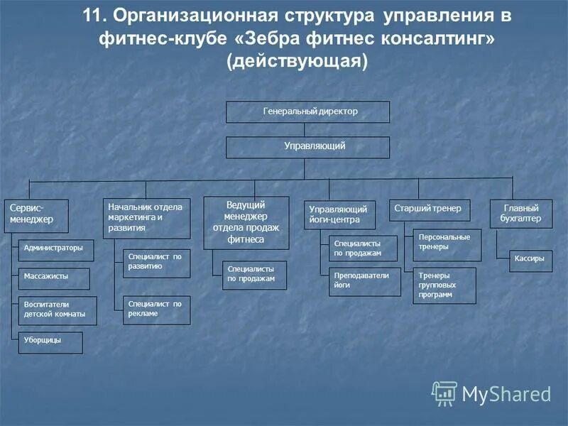 Руководящие органы общественной организации. Консалтинг организационная структура. Организационная структура фитнес клуба схема. Организационная структура управления фитнес клуба схема. Организационная структура фитнес зала.