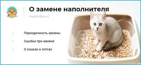 Как часто менять наполнитель