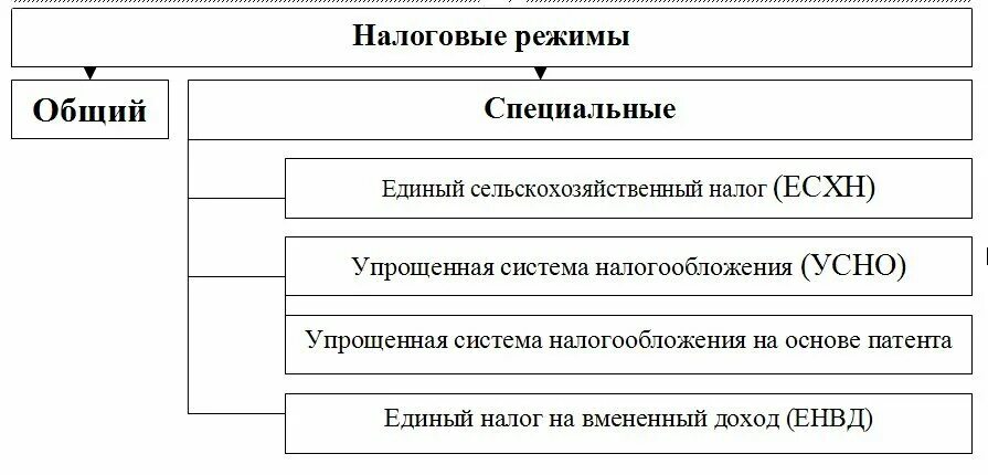 Общий порядок налогообложения. Виды специальных налоговых режимов. Виды режимов налогообложения. Специальные налоговые режимы в РФ. Схема системы налогообложения РФ.