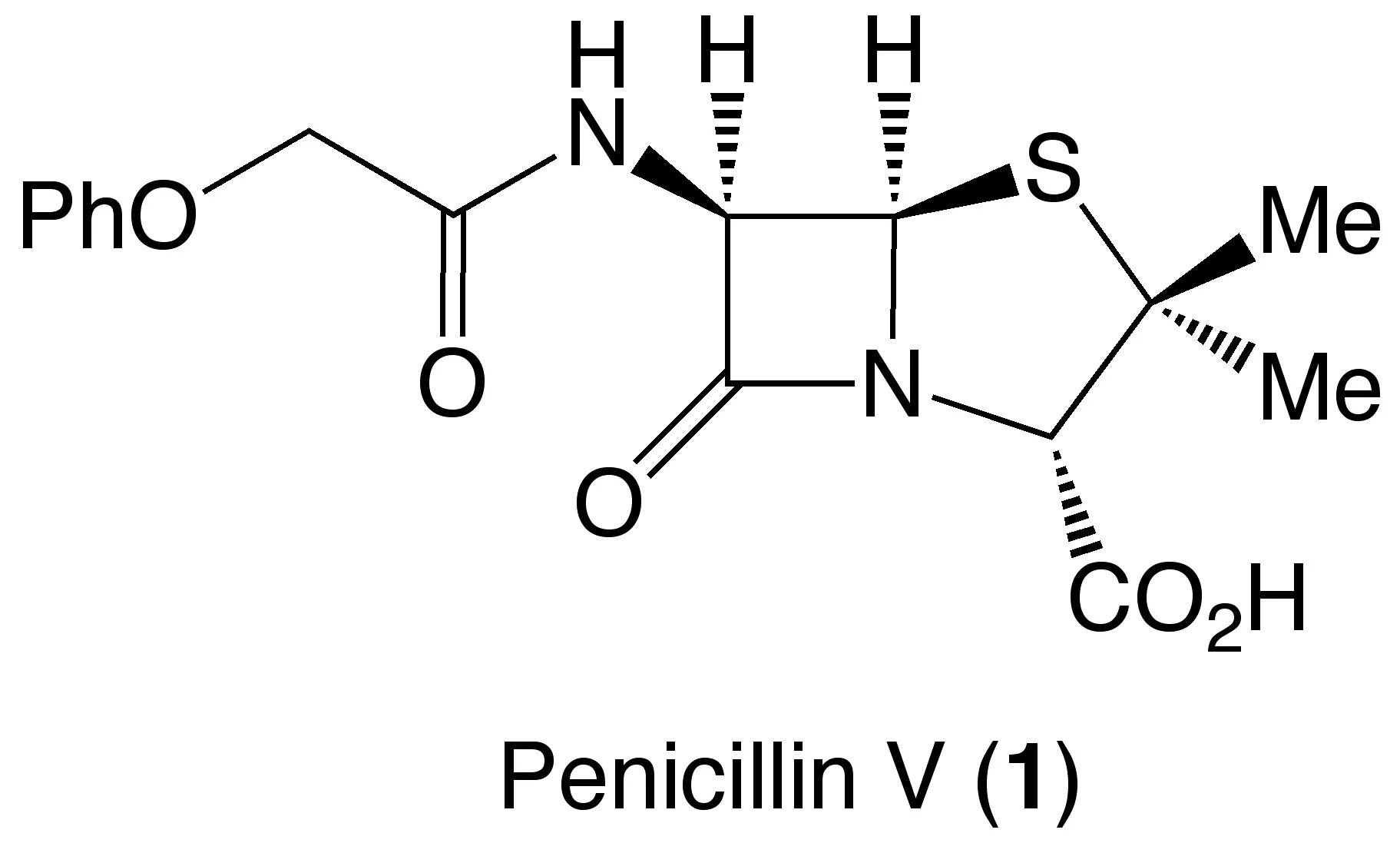 Первый антибиотик пенициллин. Структура пенициллина. Пенициллин структурная формула. Антибиотики пенициллин гриб. Пенициллин 1 антибиотик