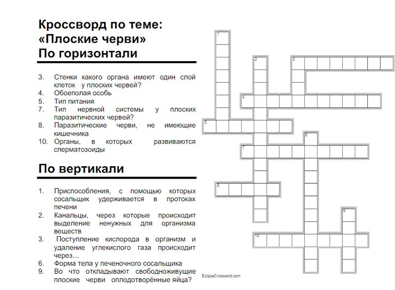 Вопросы по теме членистоногие. Вопросы по теме членистоногие