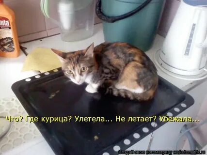 Клади кладите