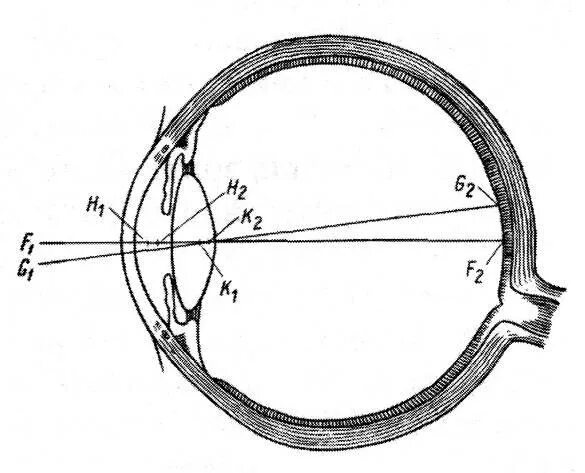Ход лучей глаза человека. Кардинальные точки оптической системы глаза. Оптическая система глаза. Строение оптической системы глаза. Структура оптической системы глаза.