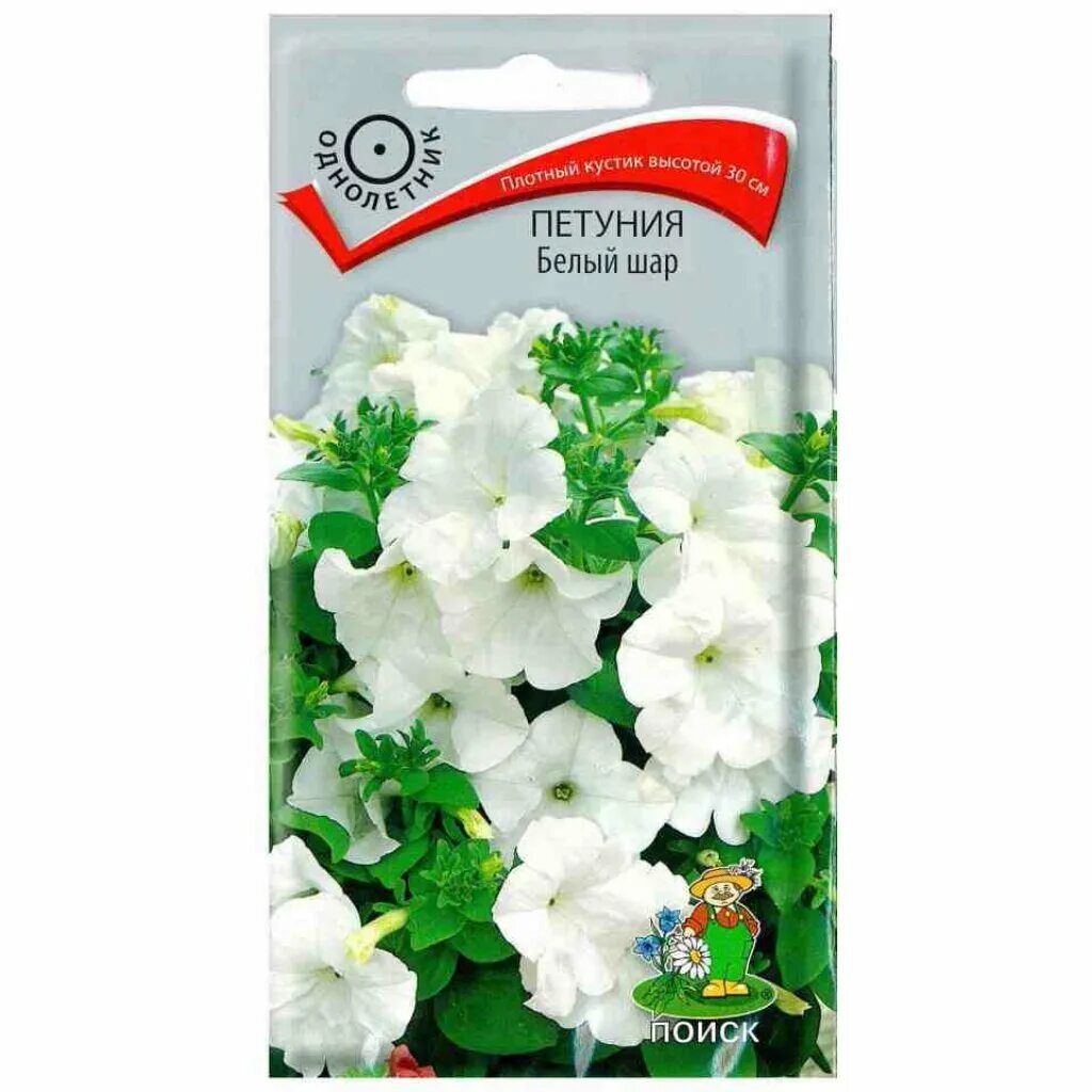Петуния снежный шар многоцветковая. Петуния снежный шар гавриш. Петуния surfinia white. Петуния снежный шар. Шары петуньи.