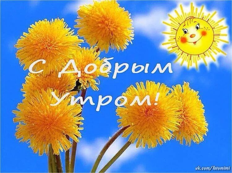 Всем доброго утра солнечного дня