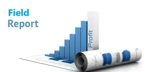 Project reports