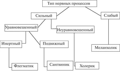 Психологические свойства нервной системы