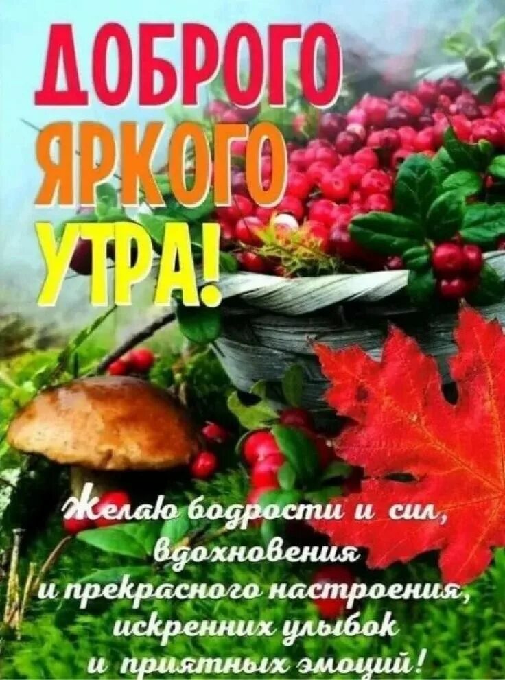 С добрым октябрьским утречком замечательного дня картинки. С добрым октябрьским утром. доброе октябрьское утро. с добрым осенним октябрьским утром. открытки с добрым октябрьским утром.