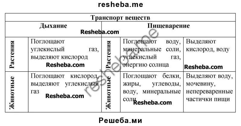 Транспорт веществ у растений и животных таблица. Транспорт веществ у растений таблица. Транспорт веществ у животных таблица. Передвижение веществ у животных таблица. Таблица передвижение животных