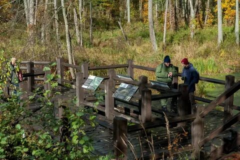 Природный заповедник брянский лес