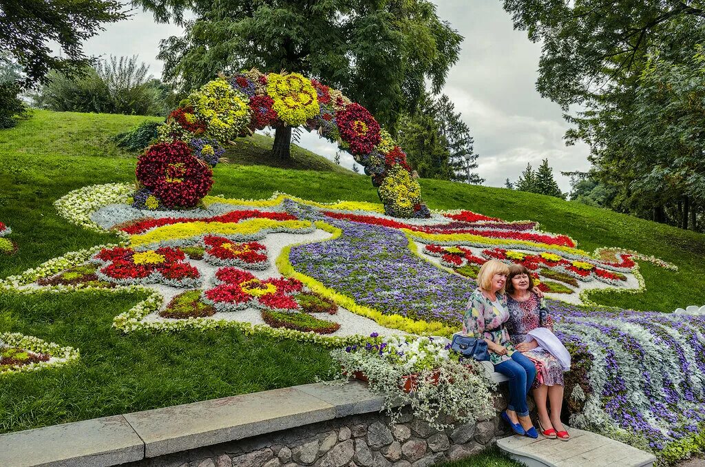 Flower club. Клумбы Киева. Цветочная экспозиция. Выставка цветов. Цветочная выставка.