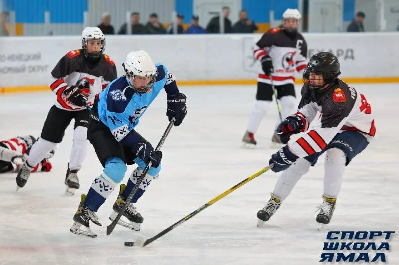 Метеор сигнал 2011. Сигнал челябинск хоккей 2005. Хк метеор сигнал. Метеор сигнал 2011. Метеор сигнал челябинск зауралье 2007.