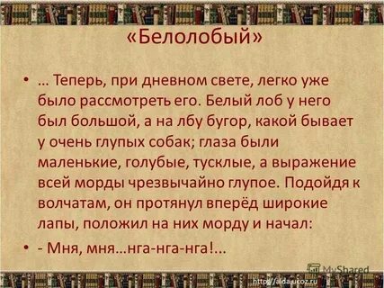 Читательский дневник белолобый