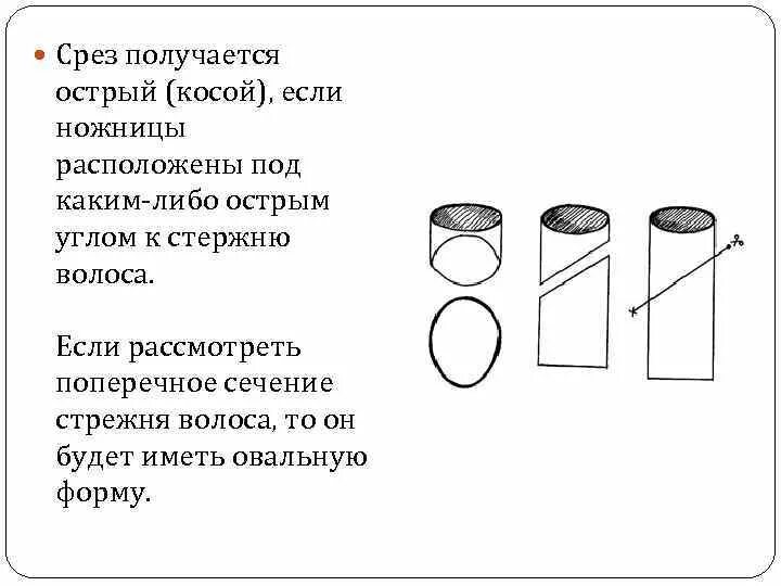 Сечение волоса при прямом срезе. Виды форм срезов волос. Виды среза волос при стрижке. Виды срезов прямой.