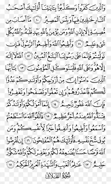 Ат тагабун сура. Саид гамиди. Сура аль тагабун. Сура тагабун. Сура 64 ат-тагабун.