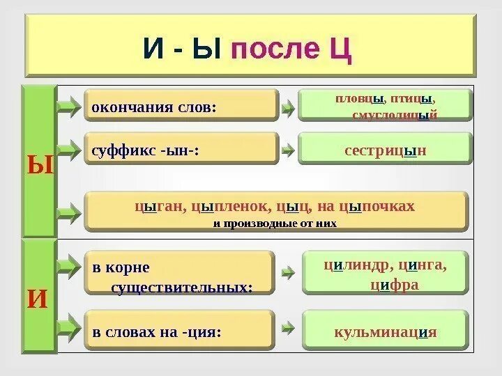Ын после ц