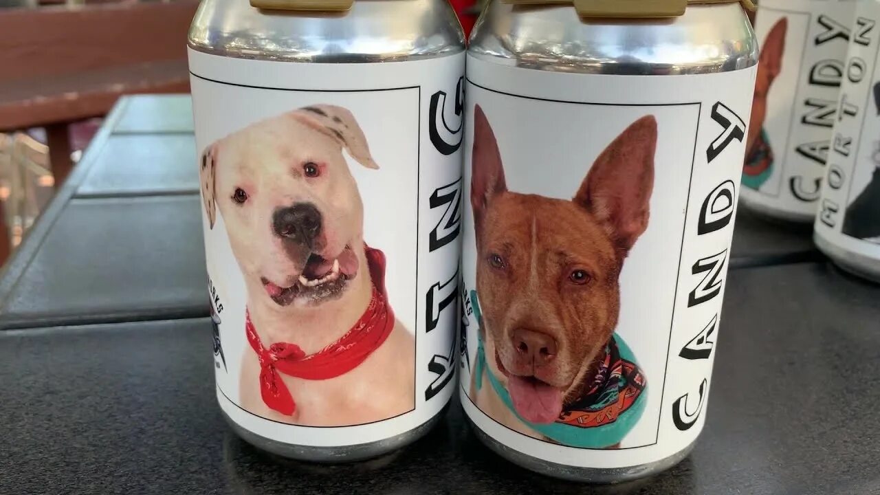 Банке собака фото