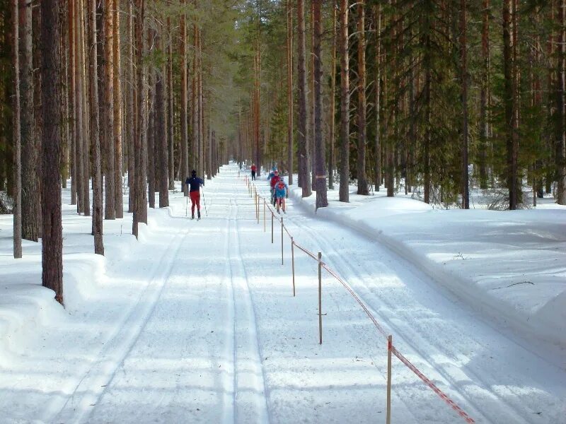 Малиновка лыжная трасса. Лыжная база Малиновка Архангельская область. Малиновка Архангельская область лыжный центр. Онега лыжная трасса.