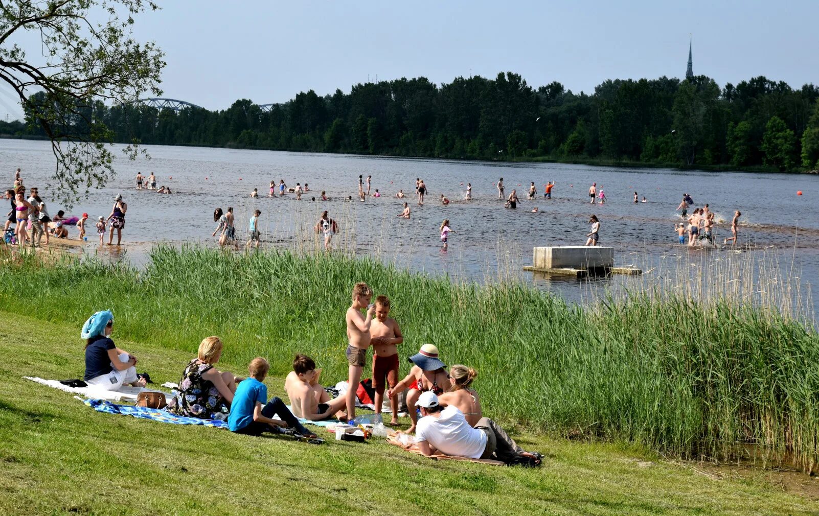 Температура воды в пруду. Купание в озере. Пляж на пруду. Место для купания. Купаться в озере.