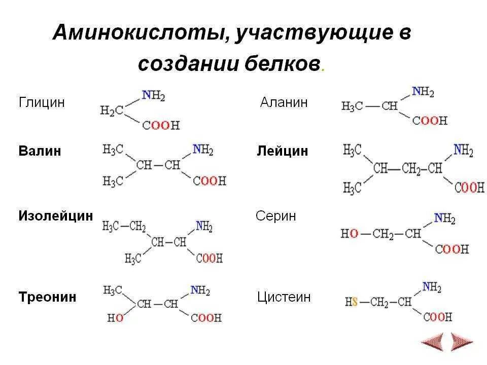 Какую простейшую аминокислоту можно синтезировать из этилена