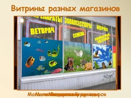 Изо 3 класс тема витрины