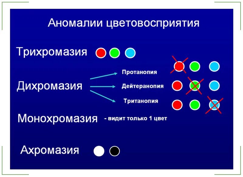 Отличают цвета. Классификация расстройств цветового зрения. Цветовая слепота физиология. Нарушение цветового зрения. Нарушение восприятия цвета.