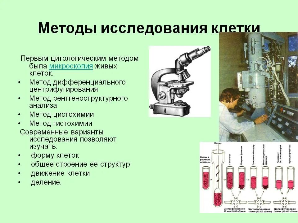 Методы изучения клетки 9 класс биология. Методы изучения клетки таблица биология 10 класс. Методы изучения клетки 10 класс биология кратко. Методы изучения клеток биология 10 класс. Какие методы исследования представлены на рисунках