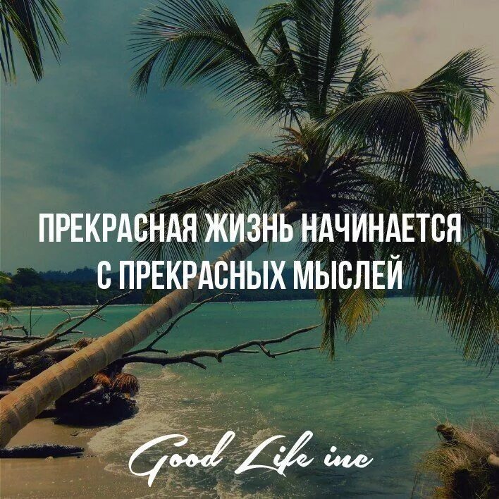 Жизнь только начинается цитаты. Прекрасная жизнь начинается с прекрасных мыслей. жизнь прекрасна фразы. все начинается с мысли цитаты. прекрасные мысли о жизни.