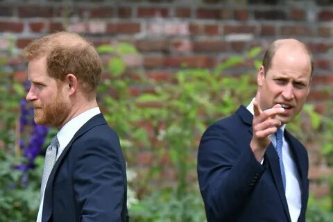 Prince William did not invite Prince Harry to a party for contributors to a...