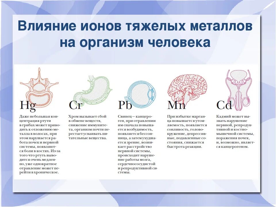 Соли тяжелых металлов в организме. Воздействие тяжелых металлов на организм человека. Тяжелые металлы в организме человека. Влияние тяжелых металлов на организм человека.