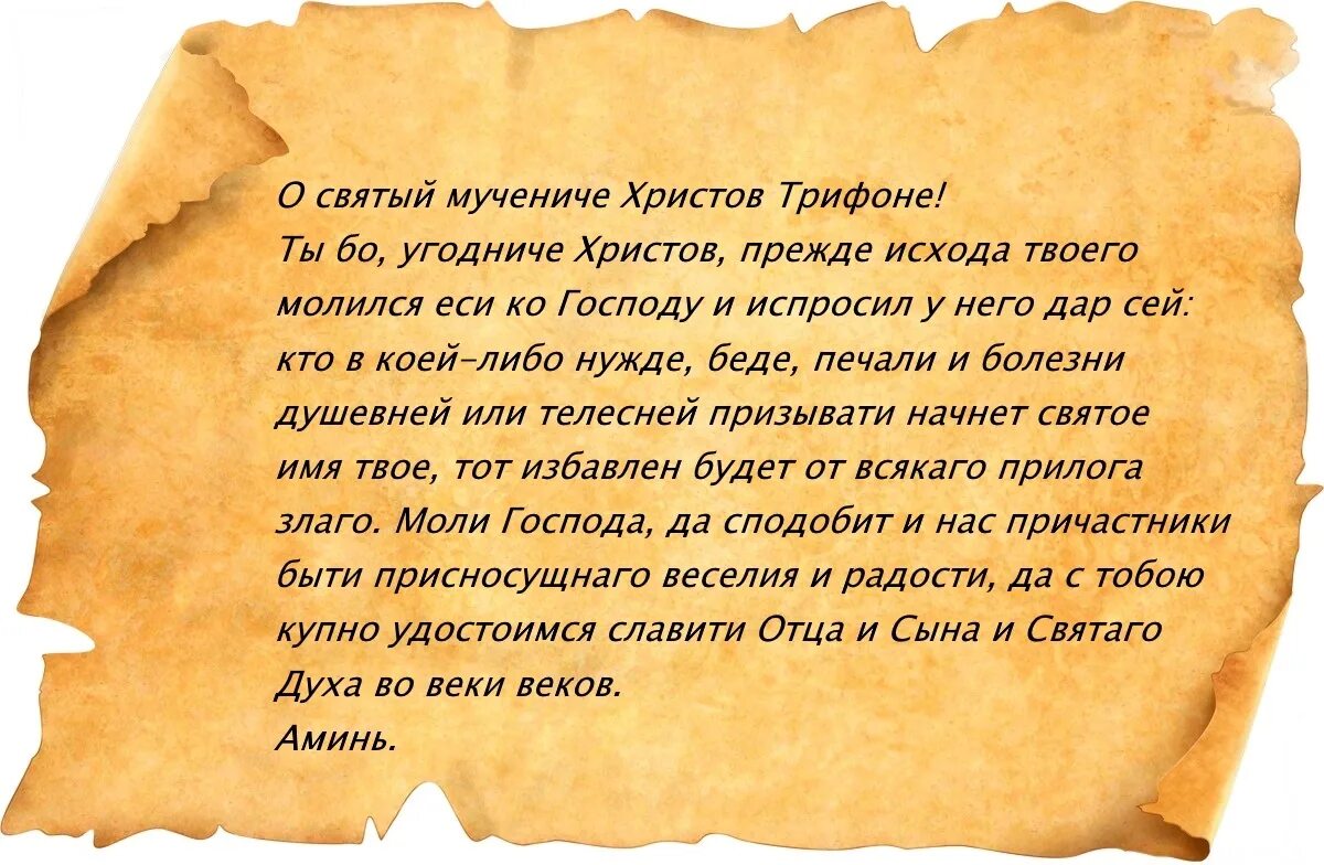 Молитва от насекомых в квартире. Заговоры и молитвы от клопов. Молитва мученику трифону о помощи в работе. Заговор от клопов. Заговор от клопов.