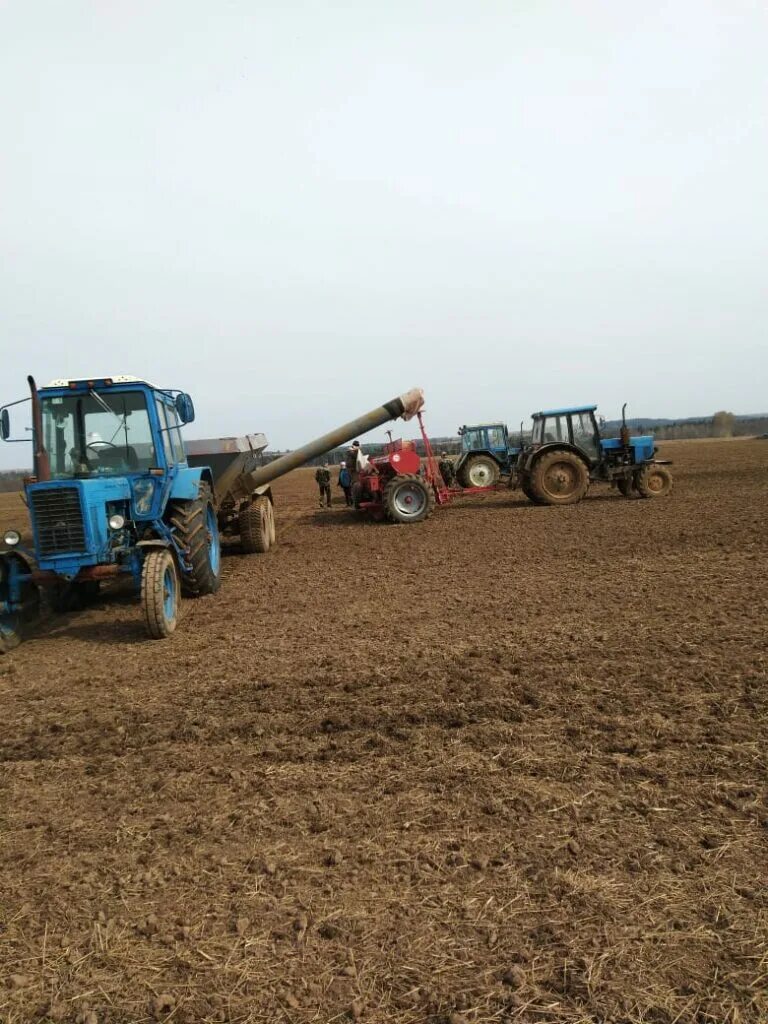 Спк свобода увинского района. Мтф ферма уфа. Спк свобода увинского района. Кормозаготовка в сельском хозяйстве. Спк свобода увинский район удмуртия.
