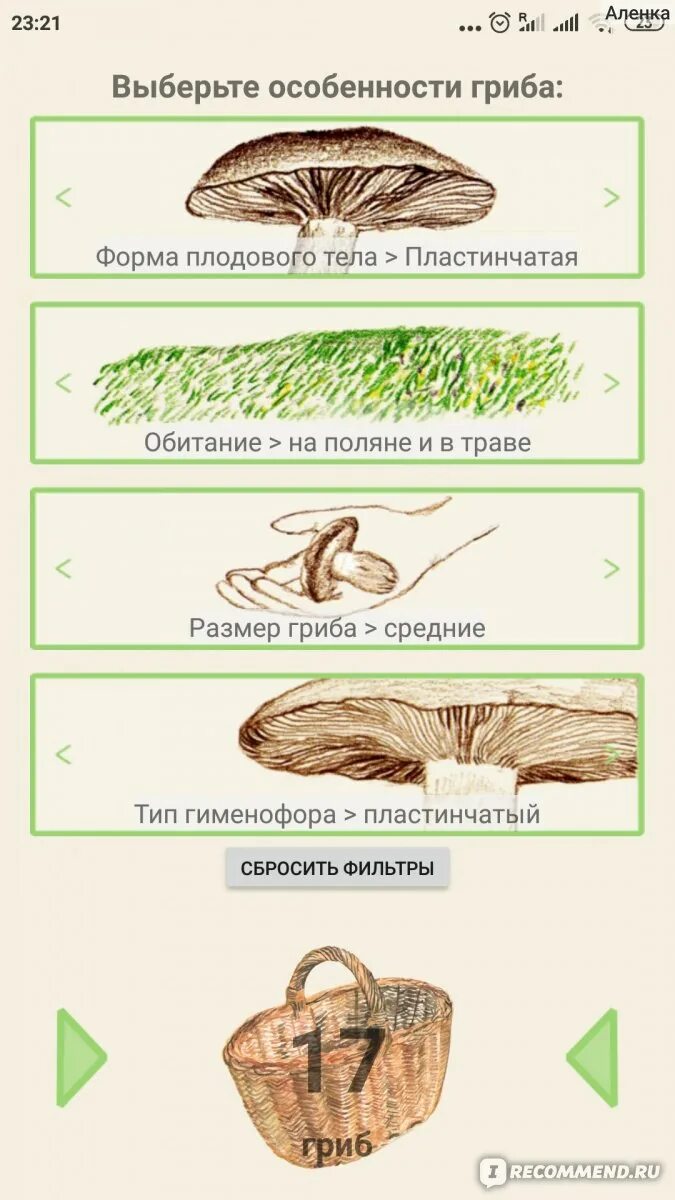 Определить грибы приложение. Распознавание грибов. формы плодовых тел грибов. приложение для распознавания грибов. распознать гриб по картинке.
