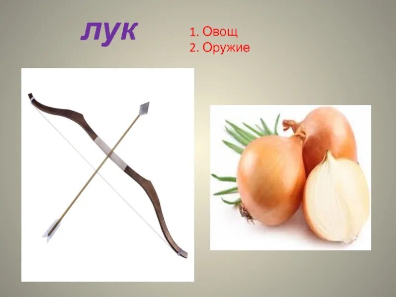 Толкование лук 8. Омонимы. Лук овощ. Лук растение и лук оружие омонимы. Лук омонимы.