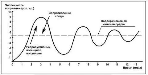 Изучение численности популяции по годам метод