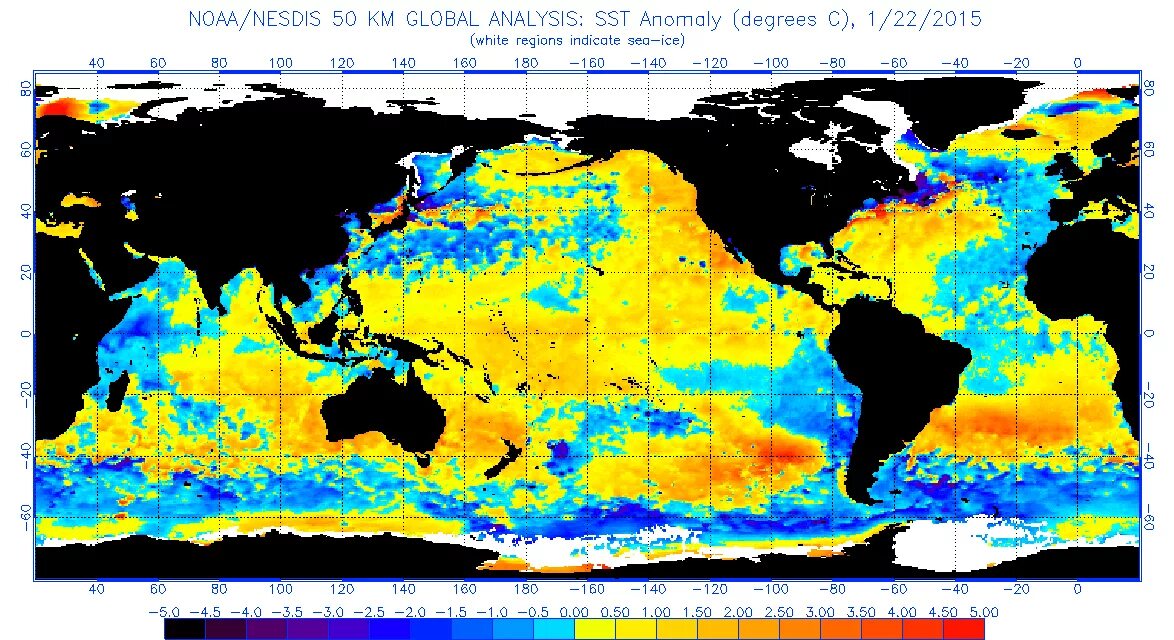 Эль Ниньо. Эль Ниньо 2023. Температура поверхности вод Атлантического океана. Температура воды в Северной Атлантике. Среднегодовая температура океанов