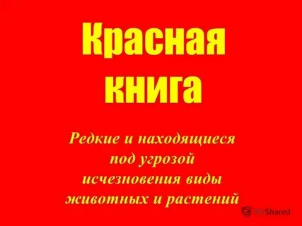 Источники информации красной книги