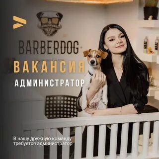 Barberdog