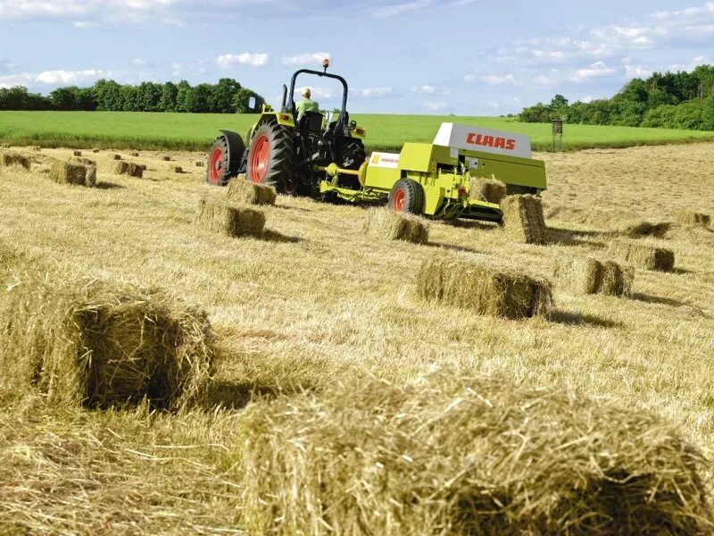 Сена комбайн. Сельхозтехника CLAAS. CLAAS техника Маркант. Челленджер сенокос комбайн. Сельхозтехника для сенокоса.