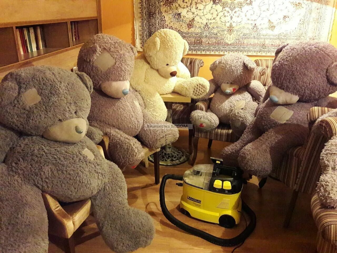 мягкие игрушки в стиральной машине. чистка мягких игрушек. большие мягкие игрушки игрушки химчистка. чистка мягких игрушек. чистка плюшевых игрушек.