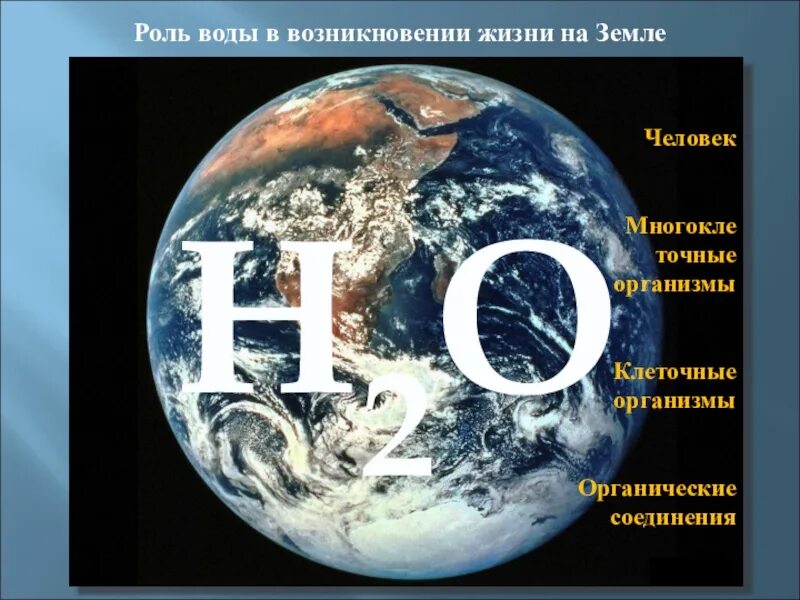 Причины появления воды в. Происхождение воды на земле. Происхождения воды на планете.. Гипотезы происхождения воды на земле. Зарождение жизни в воде.