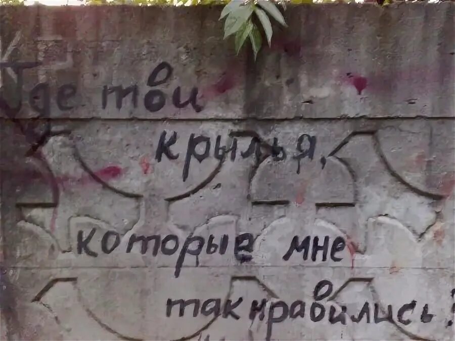 Где твои крылья которые нравились мне текст. Где твои крылья которые нравились мне. где твои крылья которые. крылья которые нравились мне.