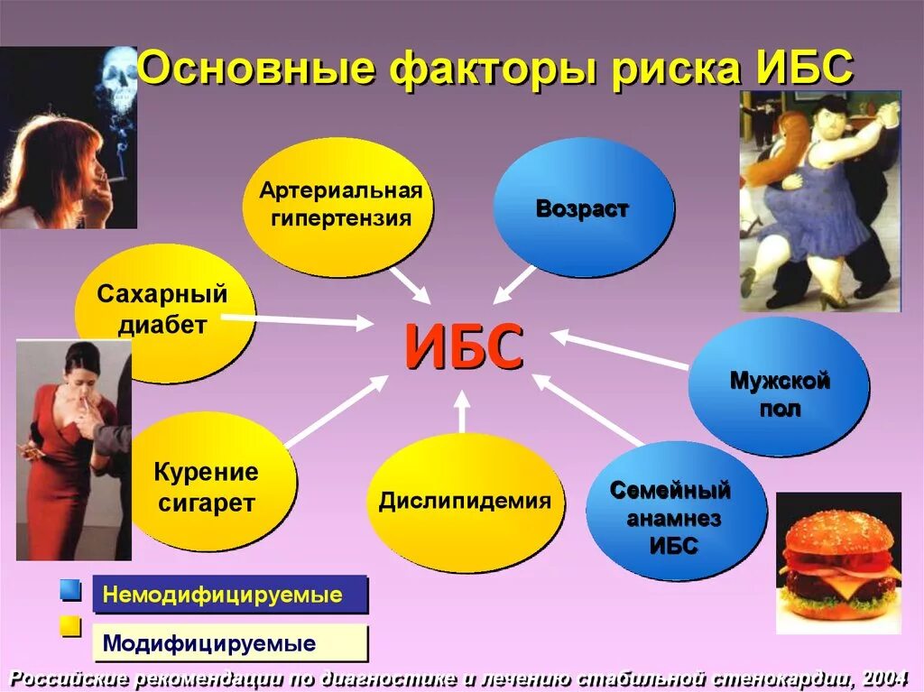 Назовите факторы риска основных. Факторы риска ишемической болезни сердца. Факторы риска развития ишемической болезни сердца. Немодифицируемые факторы риска развития ИБС. Фактор риска развития и БС.