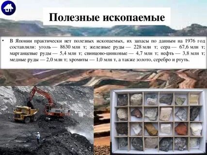 Топливные минеральные ресурсы японии